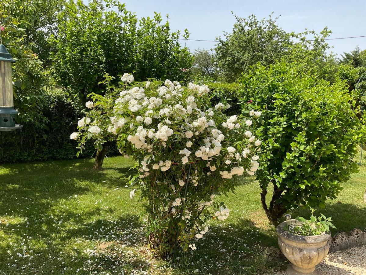 Le Jardin De Rose 24 Feuillebert Romagne 86700 Bed and Breakfast Εξωτερικό φωτογραφία