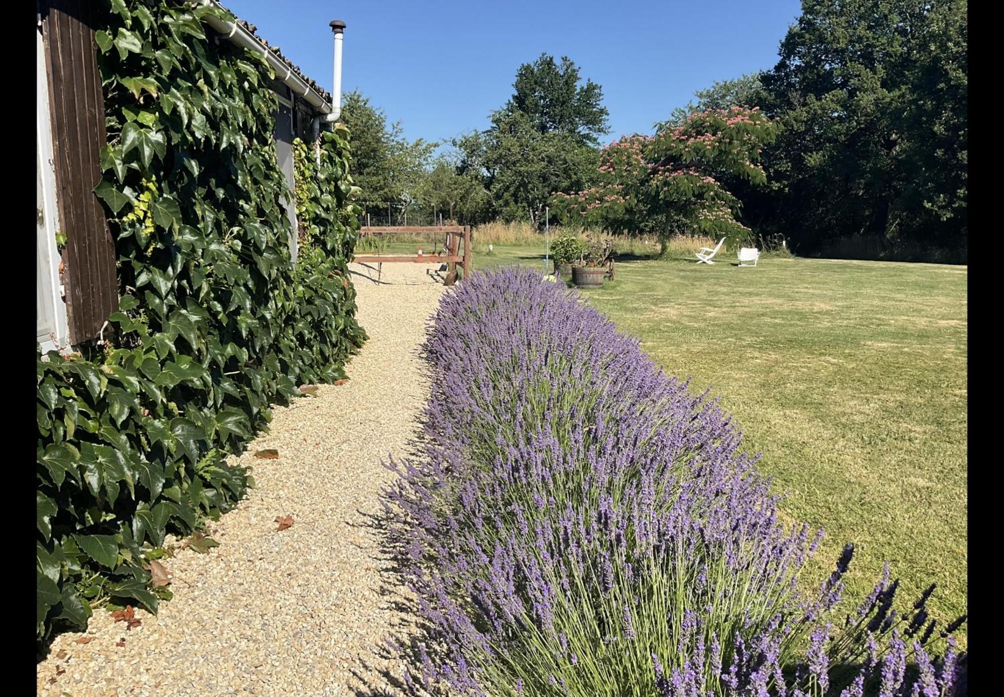 Le Jardin De Rose 24 Feuillebert Romagne 86700 Bed and Breakfast Εξωτερικό φωτογραφία